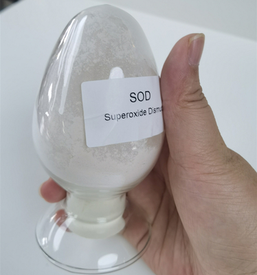 Kosmetik materielle RASEN Superoxide-Dismutase-weißes Pulver der Reinheits-99%