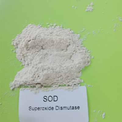 Kosmetik materielle RASEN Superoxide-Dismutase-weißes Pulver der Reinheits-99%