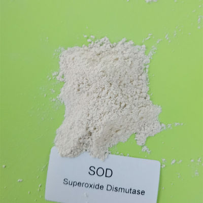 Nahrungsmittelgrad 50000iu/g Superoxide-Dismutase in Skincare 9054-89-1