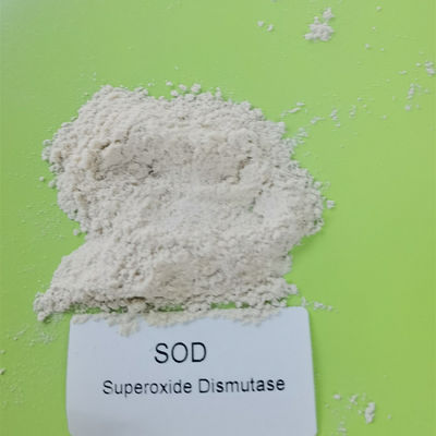 99% CAS 9054-89-1 Superoxide-Dismutase in den Kosmetik