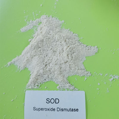 99% pulverisieren weiße RASEN Superoxide-Dismutase 500000 iu/g
