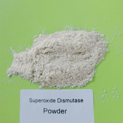 Weißes Superoxide-Dismutase-Pulver BELEGEN Antialtern mit Rasen