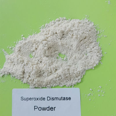 Nahrungsmittelgrad-Rohstoff Superoxide-Dismutase pulverisieren pH 4-11