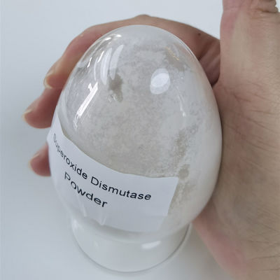 Weiß werden des Antifalte 50000iu/g Superoxide-Dismutase-Pulvers