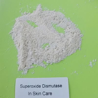 Nahrungsmittelgrad Superoxide-Dismutase BELEGEN Antialtern mit Rasen