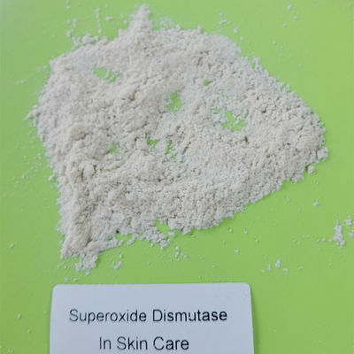 Mikrobengärung Superoxide-Dismutase in den Kosmetik 9054-89-1