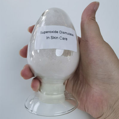 Antifalte Superoxide-Dismutase weiß werden, pulverisieren Sie CAS 9054-89-1