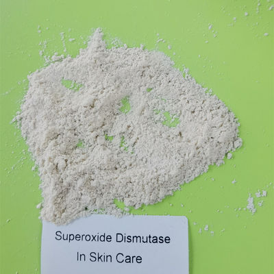 Antifalte Superoxide-Dismutase weiß werden, pulverisieren Sie CAS 9054-89-1