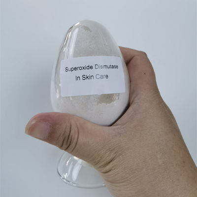 Superoxide-Dismutase CASs 9054-89-1 in den Kosmetik 50000iu/g