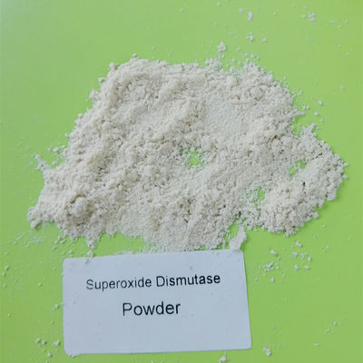 Nahrungsmittelgrad 99% natürliche Superoxide-Dismutase 50000iu/g