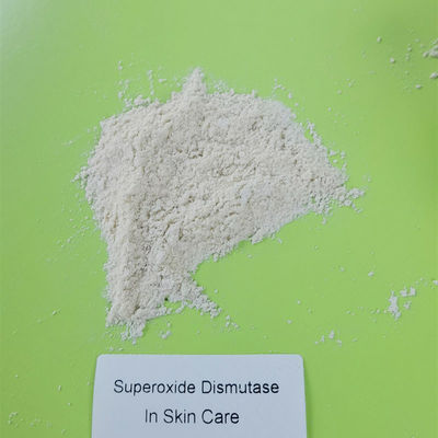 Hautpflege-Rohstoff Superoxide-Dismutase in den Kosmetik 50000IU/g
