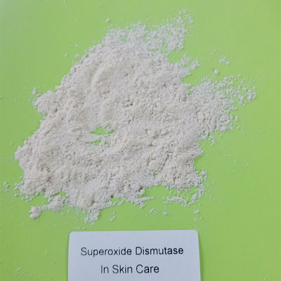 Superoxide-Dismutase Orgotein 9054-89-1 in den Kosmetik
