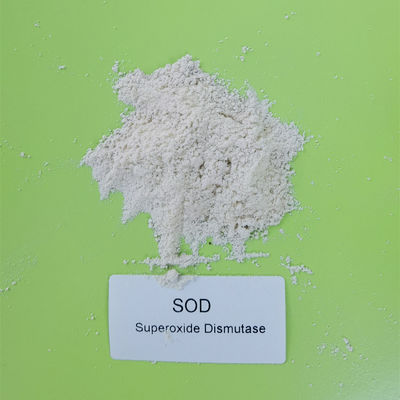 Mikrobennahrungsmittelgrad Superoxide-Dismutase RASEN der gärungs-50000iu/g